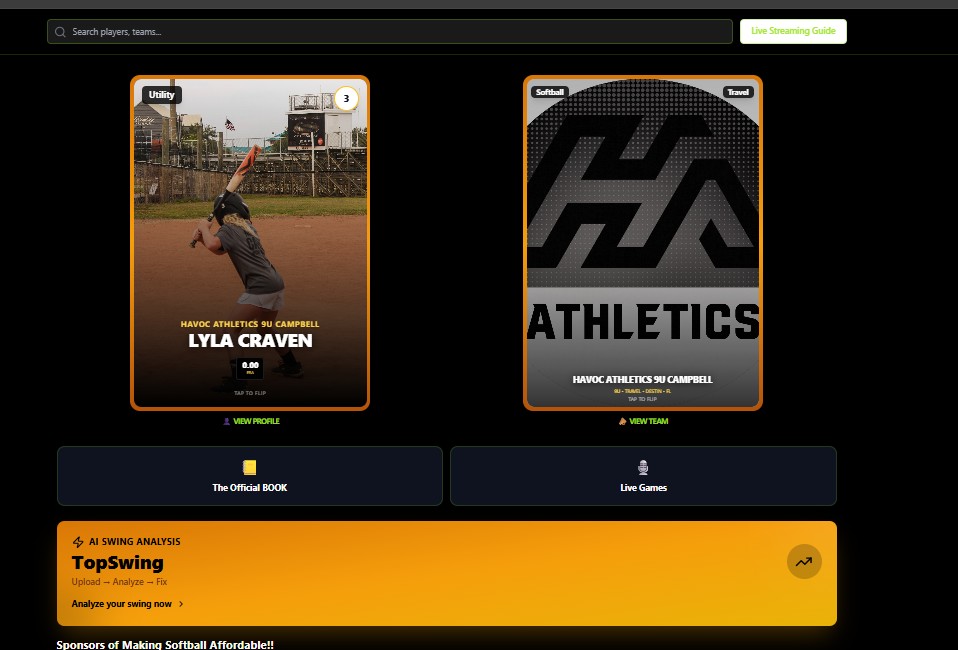 Additional Attachment