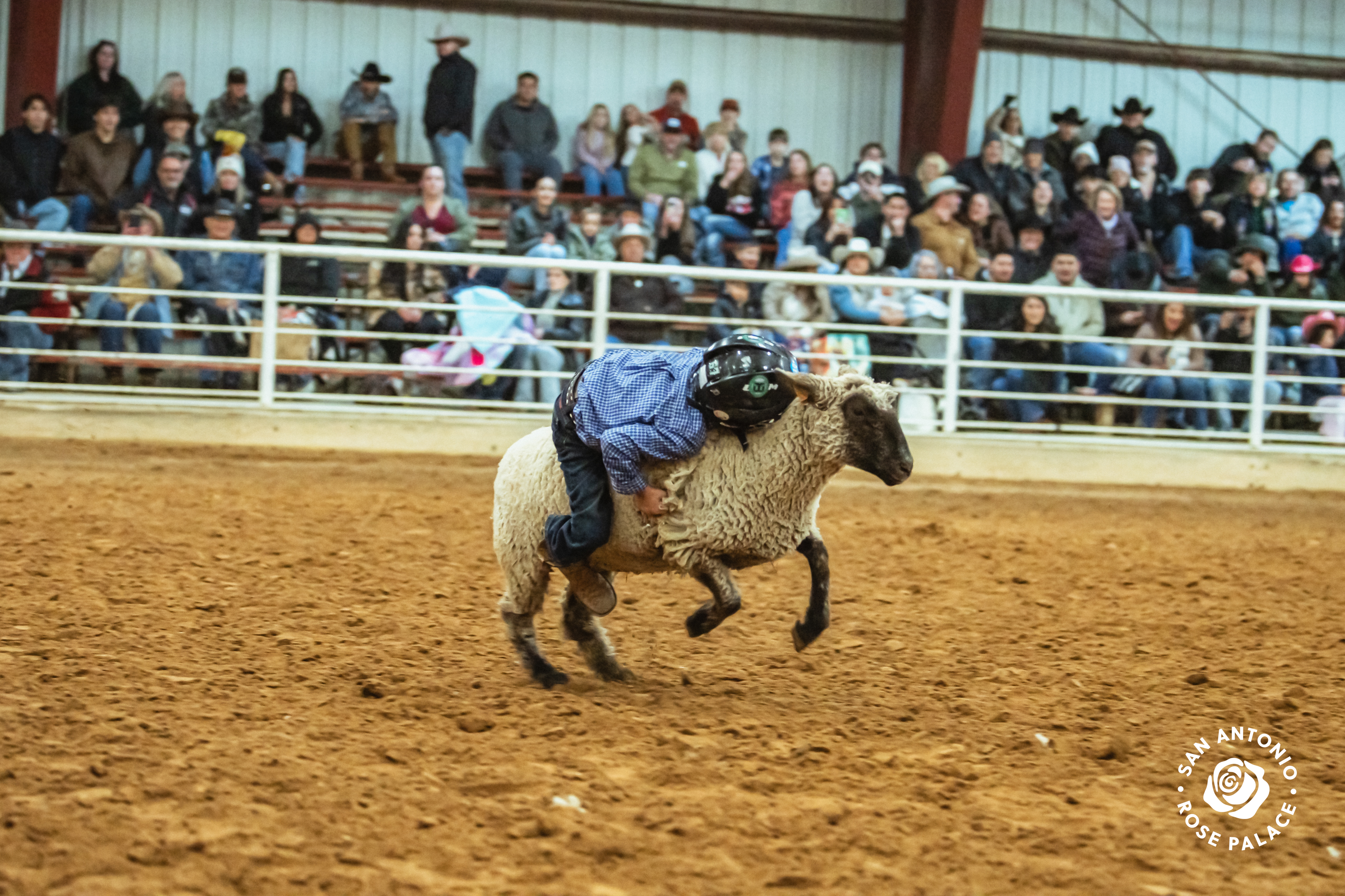 Additional Attachment